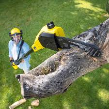 Best Landscape Design and Installation  in Taylorvle, IL